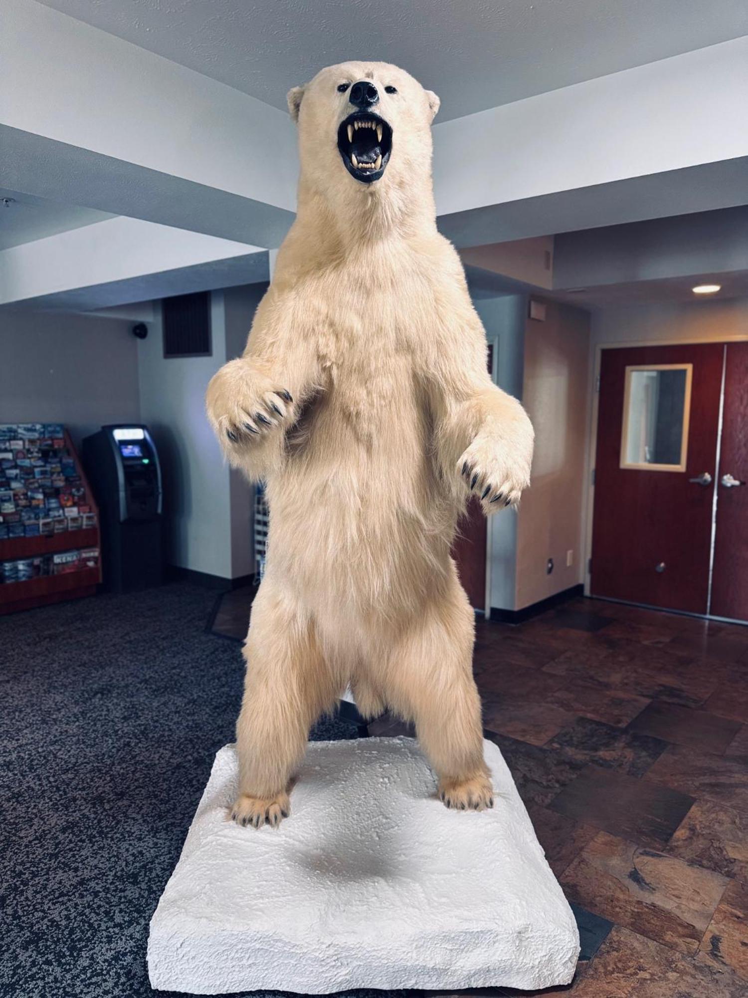 Hotel Wyndham Garden Anchorage Airport Extérieur photo